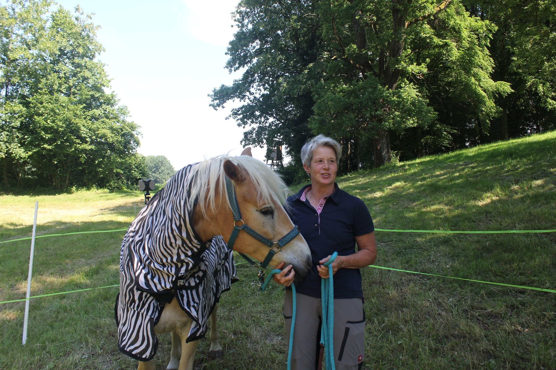 © LK Kärnten/Gerhard Frießnegger/Friederike Parz